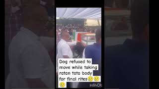 Dog refuse to move while taking ratan tata body for final rites
