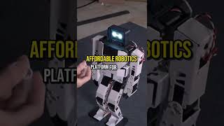 Affordable Robots
