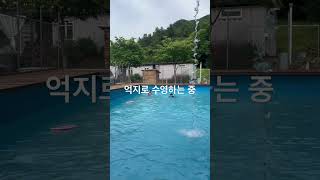 와~ 여름이다! 초2 vs 중1 수영대결(?) #shorts #여름 #수영 #여행
