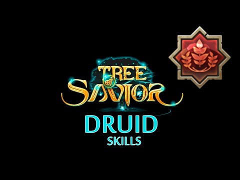 Tree of Savior - Druid Skills ( Adv. Cleric )