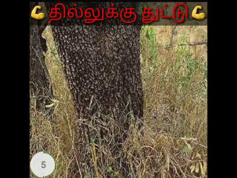 தில்லுக்கு துட்டு🤣🤣 | Vera level illusion ✌  #Shorts