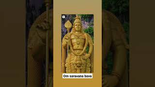 murugan whatsapp status in Tamil || vaikasi visagam || #murugan #vlogs #devotional #god #visagam