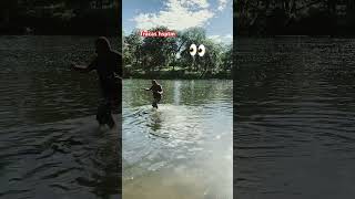 #music #viral #youtube #luisrconriquez #djalex