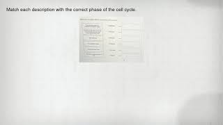 Match each description with the correct phase of the cell cycle.