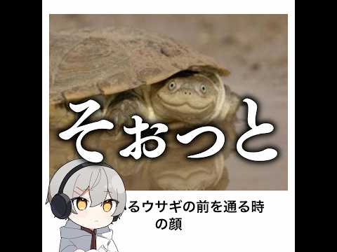 【ペァン】殿堂入りボケてがマジでツッコミどころ満載だったwww【1547弾】