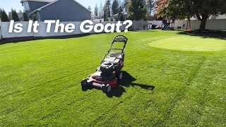 Toro Timemaster 30'' Lawn Mower
