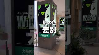 劇団四季のおすすめを正直レビューが紹介！パート2 #ミュージカル #ウィキッド #アラジン #アナ雪