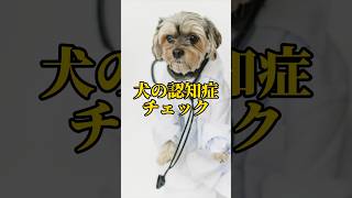 犬の認知症チェック#shorts #犬 #子犬 #犬のいる暮らし #犬のしつけ #犬のいる生活 #認知症予防 #犬の病気