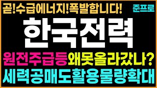 [한국전력 주가 전망]원전주급등!왜못올라갔나?걱정마세요!세력공매도활용!물량확대끝!수급에너지폭발합니다! #한국전력 #한국전력주가 #한국전력주가전망