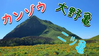 佐渡にある大野亀にカンゾウを見に行ったら衝撃的だった。【佐渡】