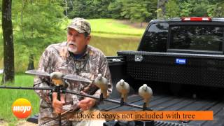 ESSENTIAL tool for Dove Hunting [ MOJO DOVE TREE ]