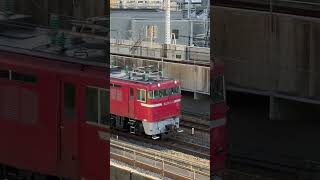 あれれ161😅💦#jr貨物 #jr九州 #博多駅 #ed76 #単機 #国鉄型