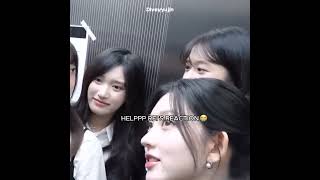 She knew what was going on🤭😭 #ive #yujin #wonyoung #gaeul #liz #rei #leeseo #dive #kpop #shorts