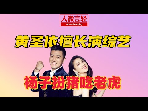黃聖依擅長演綜藝，楊子扮豬吃老虎！《再見愛人4》