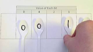 Binary Shift Practice 4 Bits, Right Shift 1