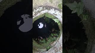 Millennium Tianji well #outdoor
