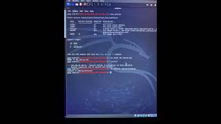 Funbox: Scriptkiddie