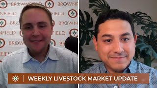 Weekly Livestock Market Update for July 19, 2025