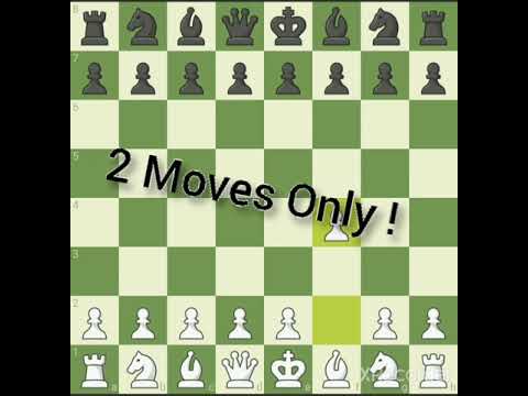 Fastest Checkmate