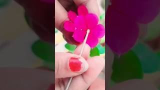 Do you want to have more color in vinca for free..?? try this method 😉#vinca #flowers #pollination