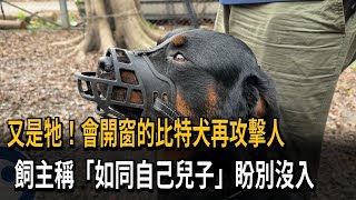 又是牠！會開窗的比特犬再攻擊人　飼主稱「如同自己兒子」盼別沒入－民視新聞
