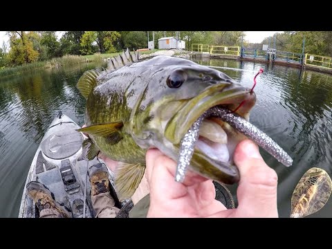 Wacky Wormin' Big Fall Smallies!