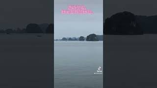 探索北越#北越風情#下龍灣#陸龍灣#春捲#越南#划船#驚訝洞#英雄島