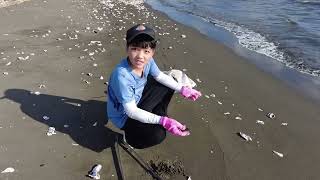 海廢監測淨灘活動記錄。20250622
