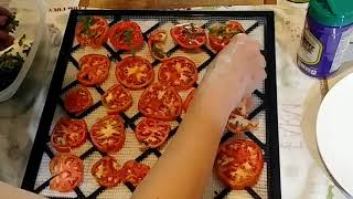 FRESH Tomato PIZZA Made in a Dehydrator!!