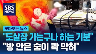 "도살장 가는구나 하는 기분"..취약계층 생존 위협 / SBS / 모아보는뉴스