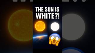 "The Sun Isn’t Yellow?! ☀️💡 Here's the Truth #Shorts"