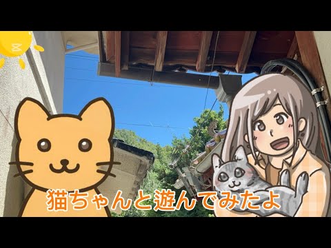 「猫ちゃん」今回は家の猫たちと一緒に散歩みたいに遊んでみました！早口選手権も実施しましたよ！