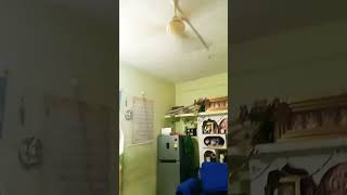wifi connect