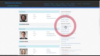 Software Issue Manager WordPress Plugin - Taxonomy and Archive pages