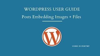 WordPress Posts Embedding Media