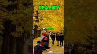Places in Japan you won't believe really exists✈️
