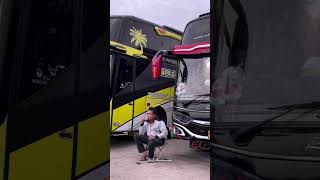 Cinematic Bus pariwisata rr trans "ALEDA"