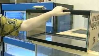 Caring for Corn Snakes   Corn Snake Cages