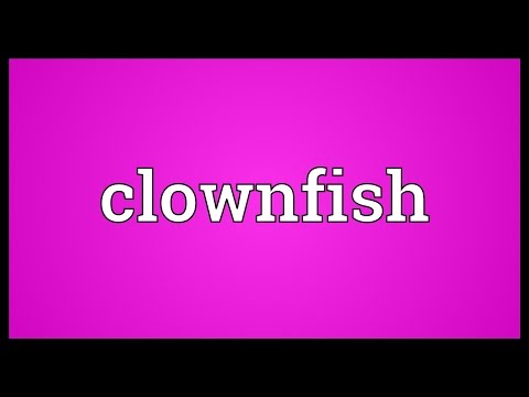 Clownfish Meaning