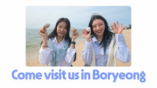 welcome boryeong!