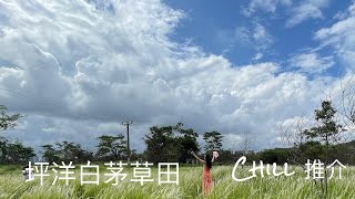 坪洋白茅草田｜香港打卡熱點｜Chill 推介｜香港🇭🇰廣東話頻道