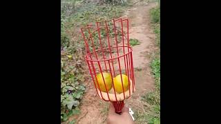 fal todne wali machine#shortsfeed #trending #dropshippingproducts #viralvideo #ecommerceproducts