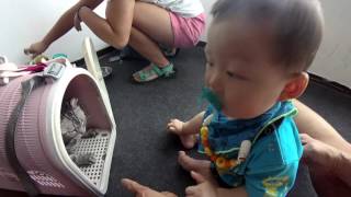 嬰兒小孩與貓咪的初體驗 2017年7月9日