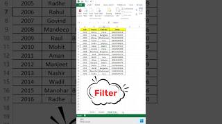 Filter Based on Cell Value in Excel | Quick & Easy Data Filtering Trick