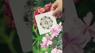 【森林系】Collection 創作 No.05 ▶︎ Zentangle 禪繞畫#shorts