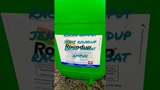 RACUN RUMPUT||JENIS ROUNDUP RACUN|SANGANT AMPUH