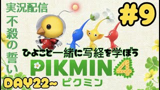 【ピクミン４ 22日目~】ひよこと不殺の誓い！☆になったら写経が待つ配信！【ひよりひよこ】
