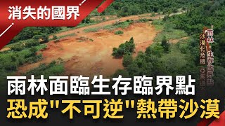雨林生存保衛戰！"沙漠危機化"讓亞馬遜不再綠 雨林退化成沙漠成不可逆慘劇 科學家警告：現存熱帶雨林恐變"熱帶沙漠"│李文儀主持│【消失的國界PART1】20230415│三立新聞台