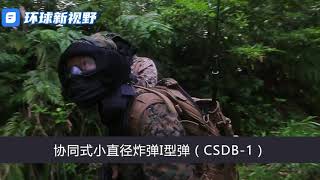 為了阻嚇大陸武統台灣，美國緊急研製新式武器，據稱：威力強大，解放軍難以應對 新視野評論：恐言過其實