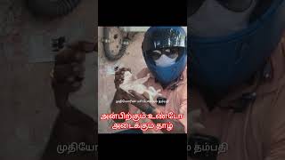 அன்பிற்கும் உண்டோ அடைக்கும் தாழ் #please #subscribe #my #chnnel #trendingshorts #viralvideo #shorts